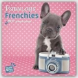 Fabulous Frenchies - French Bulldogs 2017 - 18-Monatskalender: Original Myrna-Kalender [Mehrsprachig] [Kalender] by 