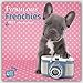 Fabulous Frenchies - French Bulldogs 2017 - 18-Monatskalender: Original Myrna-Kalender [Mehrsprachig] [Kalender] by 