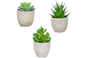 DAGORD 3 stücke Künstliche Sukkulenten Pflanzen mit Topf Kunstpflanzen im Topf Plastik Pflanzen Zimmer Deko Artificial Plants Fake Plant Für Büro Balkon Wohnzimmer Gartentisch