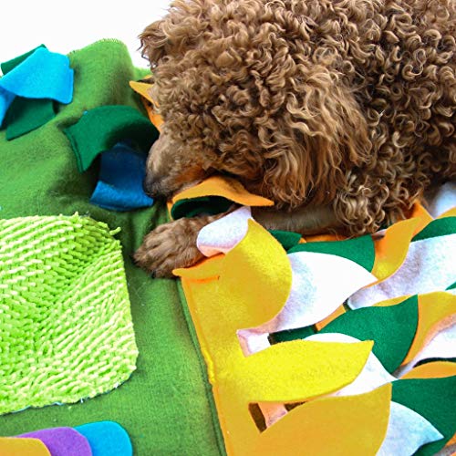 juguetes perros pequeños