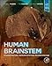 Produktbild Human Brainstem: Cytoarchitecture, Chemoarchitecture, Myeloarchitecture