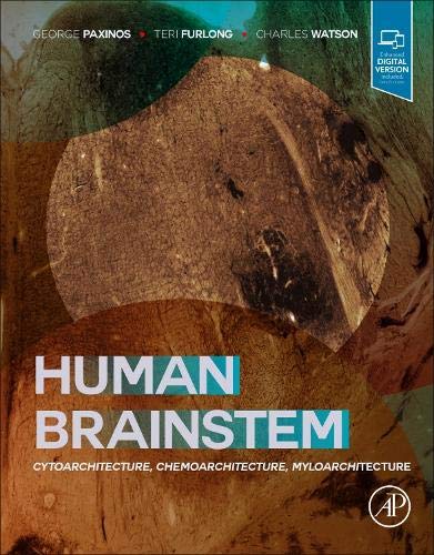 Preisvergleich Produktbild Human Brainstem: Cytoarchitecture, Chemoarchitecture, Myeloarchitecture