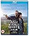 Ash Is Purest White [Blu-ray]
