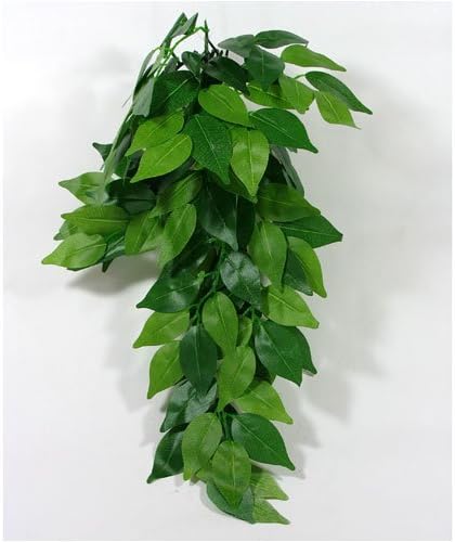 Reptile Vivarium Jungle Silk Plant Decor Ficus Medium