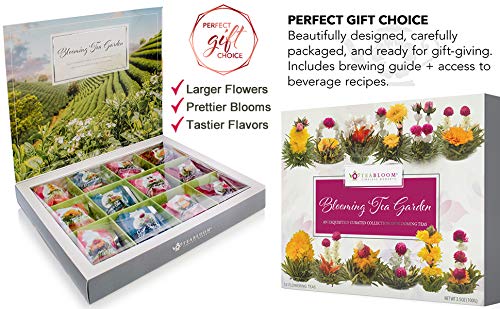 Teabloom Confezione Fiori di Tè - Selezione Fiori di Tè di Prima Qualità dai Giardini Più Belli del Mondo - 12 Varietà… - immagine 7