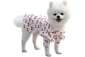 HuaLiSiJi Maglietta per Cani Chihuahua Vestiti Vestiti Cane Piccola Taglia, Tessuto è Leggero Tessuto Morbido Facile da Indossare e Bei Colori (M, Bianco)