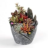 ★ Harzmaterial: Der handgemachte Blumentopf besteht aus Harz, das exquisit und schön ist.