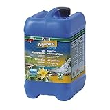 JBL 27408 Wasseraufbereiter gegen alle Algen im Gartenteich,...