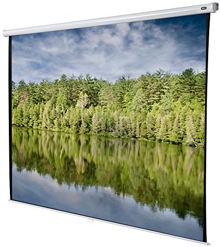 celexonProjector screen Manual Economy 300 x 300 cm