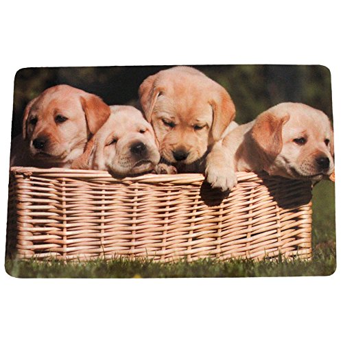 COM-FOUR® 4x Vinyl Platzsets mit verschiedenen Motiven 43,5×28,3cm (Tiere) - 3