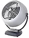 Produktbild Vornado V FAN Retro Bodenventilator grau