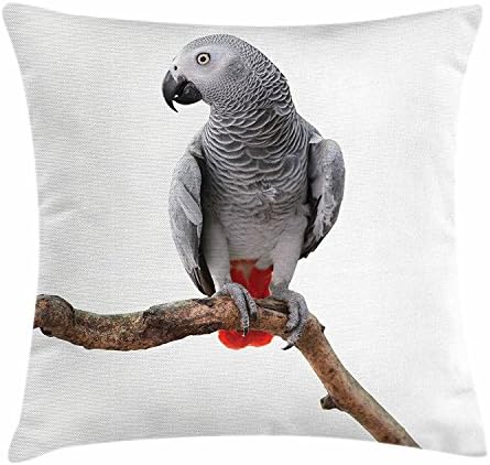 Grey Throw Pillow Cushion Cover, African Parrot Bird Psittacus Erithacus Standing on a Branch Tropical Nature Wildlife, Decorative Square Accent Pillow Case, 18 X 18 Inches, Multicolor