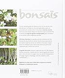 Image de Comment créer et entretenir vos bonsaïs