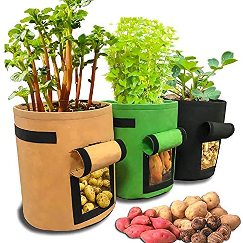 Preisvergleich Produktbild RANRANHOME Grow Bag (3er Pack), Filzpflanzgefäß Pflanzgefäß Doppeltürkartoffel Pflanzbehälter, 30 * 35 cm