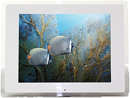 digital Fhoto 12-Inch LCD Digital Photo Frame With Motion Sensor , white
