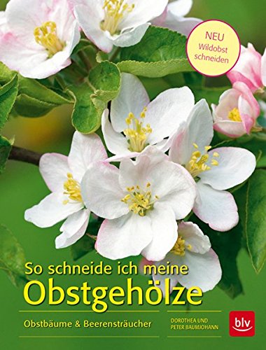 Book's Cover ofSo schneide ich meine Obstgehölze Obstbäume  Beerensträucher