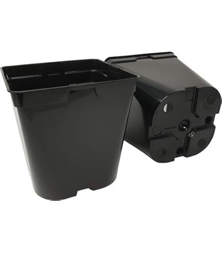 Pflanztopf 25 Liter (33x33x35 Cm) | Ideal Für Große Pflanzen Und Star