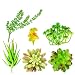 Produktbild Garten im Freien Künstliche Sukkulenten Keramik Sukkulenten Kaktus Blumentopf Container Pflanzer mit Bambus Tabletts Bulk Stems für Home Indoor Dekorationen