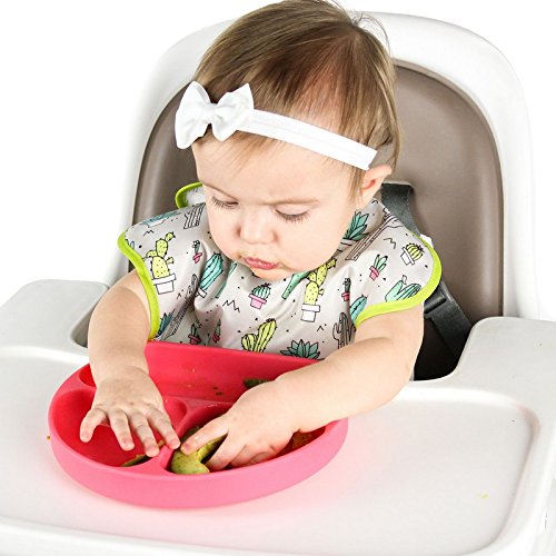 Bumkins Silikon Teller mit Saugnapf und Unterteilung – rutschfest und bruchsicher | Kinderteller, Babyteller, Kindergeschirr, aufgeteilter Teller mit Fächern | Ideal für Beikosteinführung, Baby Led Weaning - 8