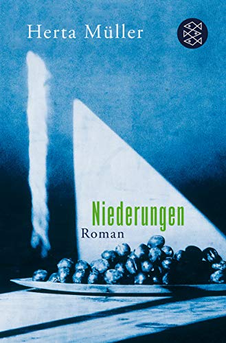 Niederungen Fischer Taschenbücher Allgemeine Reihe - 