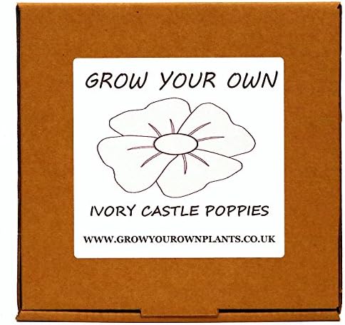 Grow Your Own Ivory Castle Poppy Plant Kit. Seeds Propagation Gardening Gift for Mum dad - Indoor Plant Growing Kit for Gardeners