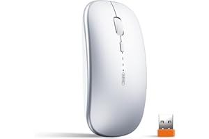 INPHIC Mouse Wireless Ricaricabile, Mouse Ottico Mini Silenzioso Con Clic Mute, 1600 Dpi Ultra Sottile Per Notebook, PC, Laptop, Computer, Macbook (Argento chiaro)
