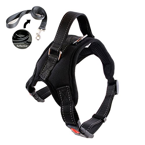 Cassiela Harnais Chien Anti Traction Pour Grospetit Chien Chien Harnais Respirant Réglable Pour Sécurité Automobile