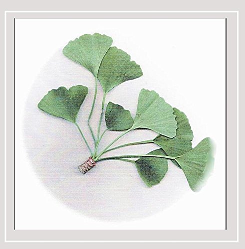 Preisvergleich Produktbild Gingko [a Sampler]