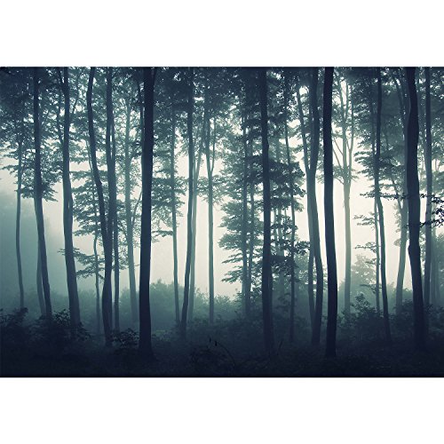 Vlies Fototapete 8016012a ‚Wald‘ 396 x 280 cm – RUNA Tapete ! Wandbilder XXL Wandbild Bild Fototapeten Tapeten Wanddeko Wand Wandtapete !!! 100% MADE IN GERMANY !!! - 5