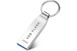 Roowike USB Stick 256GB Speicherstick USB 3.0 Wasserdichter USB-Sticks Metall Memory Stick Hohe Kapazität USB-Flash-Laufwerk 256GB mit Schlüsselring für PC, Tablet, Computer, Laptop
