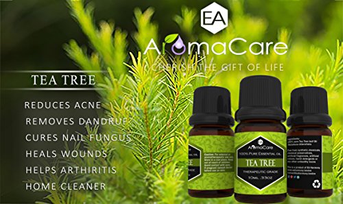 EA AromaCare – Aromatherapie Ätherische Öle Geschenkset – Therapeutische Qualität, 100% rein, (Lavendel, Pfefferminze, Zitronengras, Teebaum, Eukalyptus, Orange) - 6
