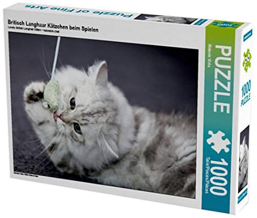 Preisvergleich Produktbild Britisch Langhaar Kätzchen beim Spielen 1000 Teile Puzzle quer (CALVENDO Tiere)