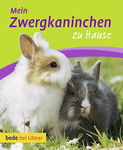 Download Mein Zwergkaninchen zu Hause