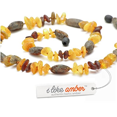 baltic amber flea collar