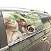 Produktbild Rtosd Nette intelligente goldene Affen Faltbarer Hund Sicherheit Auto gedruckt Fenster Zaun Vorhang Barrieren Beschützer für Baby Kind einstellbar Flexible Sonnenschutzabdeckung Universal Fit für SUV