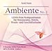 Produktbild Entspannungsmusik: Ambiente No. 2 - GEMA-freie Kompositionen für Restaurants, Hotels, Praxis- und Geschäftsräume