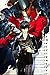 Produktbild CGC Huge Poster GLOSSY FINISH - Persona 5 PS4 PS3 PS2 - EXT568 (24" x 36" (61cm x 91.5cm))