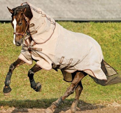 Preisvergleich Produktbild Horseware Rambo Protector - oatmeal / brown, Groesse:100