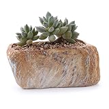 T4U Conjunto de 3 Piedra distintiva Forma Cerámicos Planta Maceta...