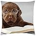 Produktbild Little Professor - Throw Pillow Cover Case (18" x 18")