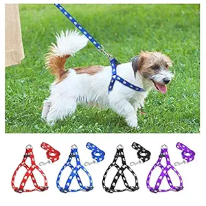 Petlicious & More 15 mm Paw Print Nylon Puppy Harness & Leash Set for Small & Medium Dogs (Color May Vary)