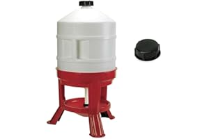 NOVITAL Abbeveratoio a sifone per polli, galline e avicoli con serbatoio da litri 30 in plastica alimentare GOLD