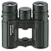 Price comparison product image Eschenbach sektor D 10x32 compact+ binoculars, green