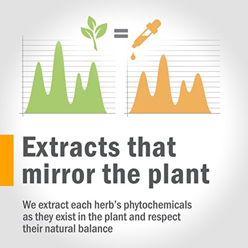 Herb Pharm Mullein Garlic Herbal Oil - 1 Ounce - Image 6