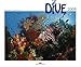 Dive 2008 by 