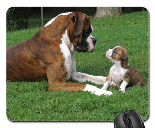 Preisvergleich Produktbild BGLKCS