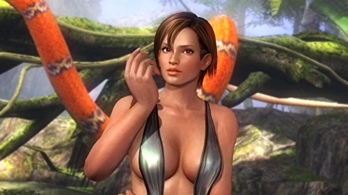 Dead or Alive 5 Plus (Playstation Vita) - Image 7