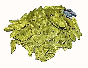 CLOUDED HOBBIES POLYALTHIA Leaf Multicolour Sequins for Craft , D?COR & Embroidery (Golden)