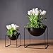 Produktbild Flower Stand, einfache moderne schwarz-weiß Runde Basin Eisen Art Frame Ornamente Blumen Pflanze Container Apparat Pflanze Klammer Topfpflanzen Pflanze Blumentopf Home Garten Villa Wohnzimmer Lobby Rezeption Dekoration Landing Ornamente ( Color : Black , Size : 33*33*60cm )