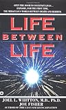 Life Between Life by 